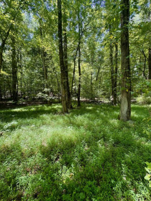 1.05 ACRES HEIDI TRAIL, BUCKHEAD, GA 30625, photo 3 of 14